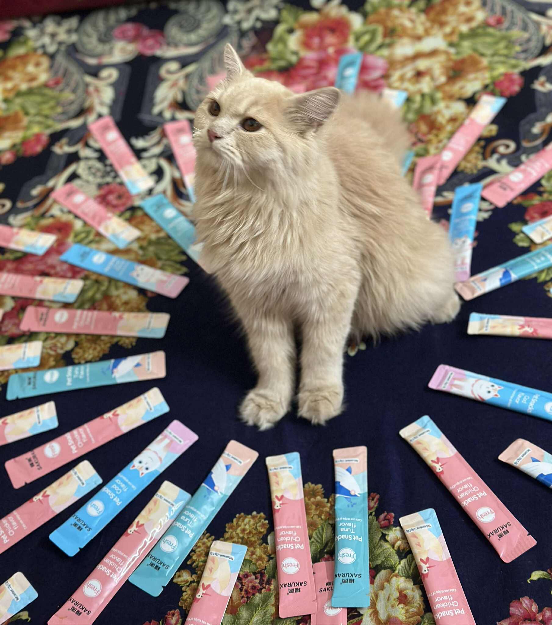  Customer Review Image