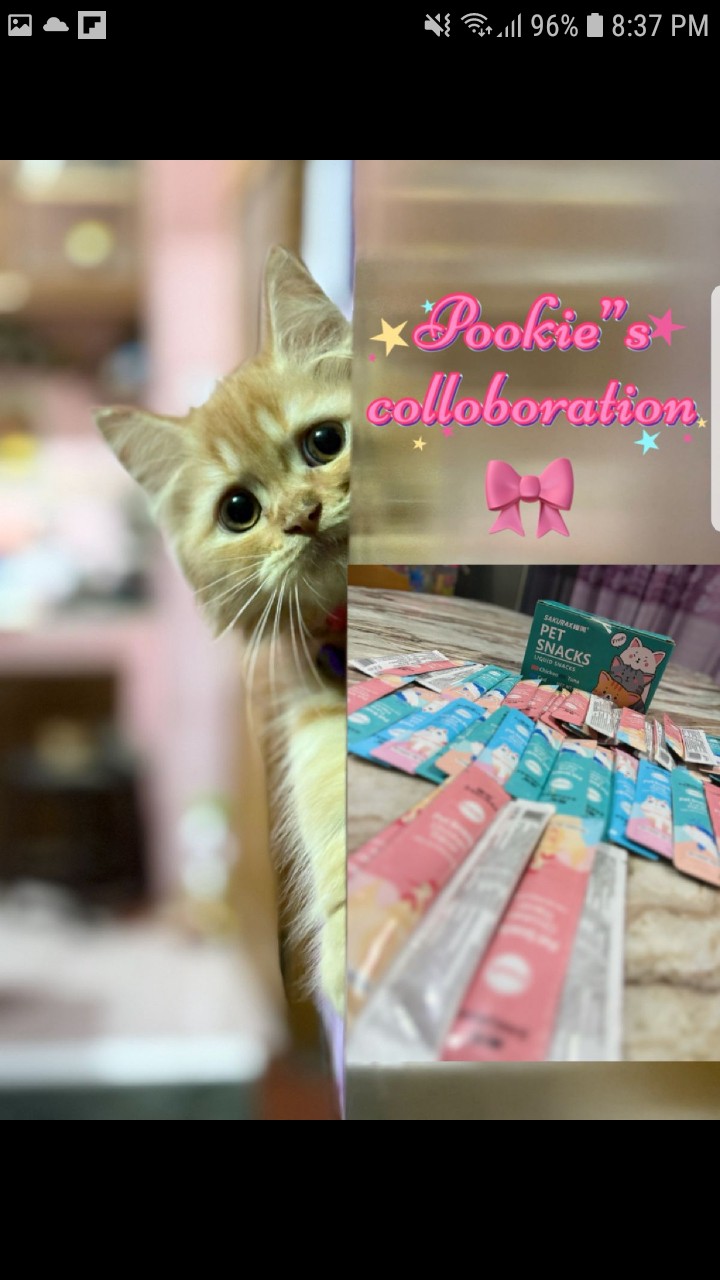  Customer Review Image